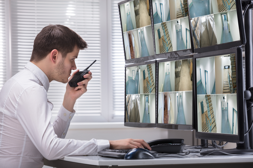 corporate security sector